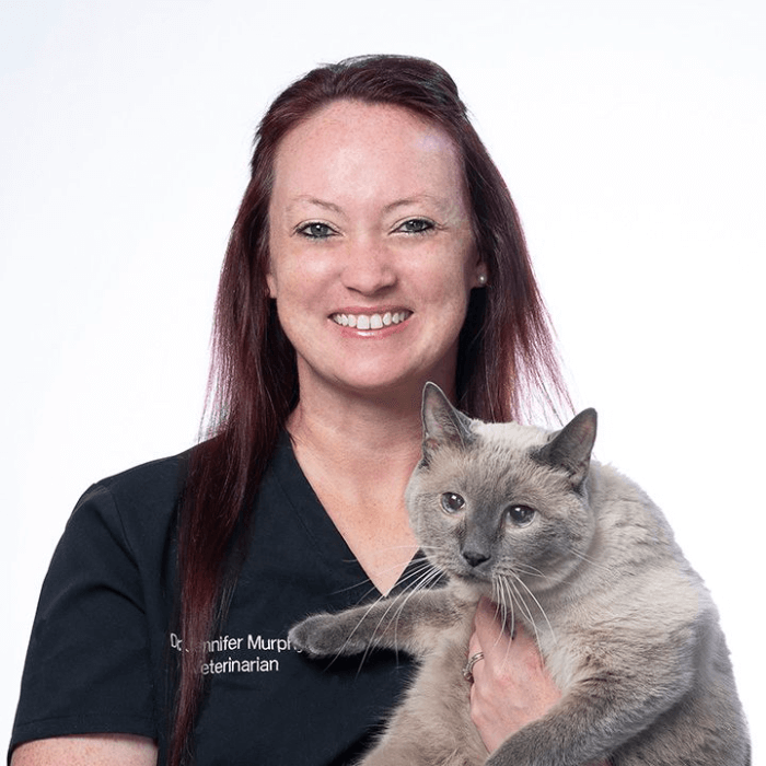 Dr Jennifer Murphy