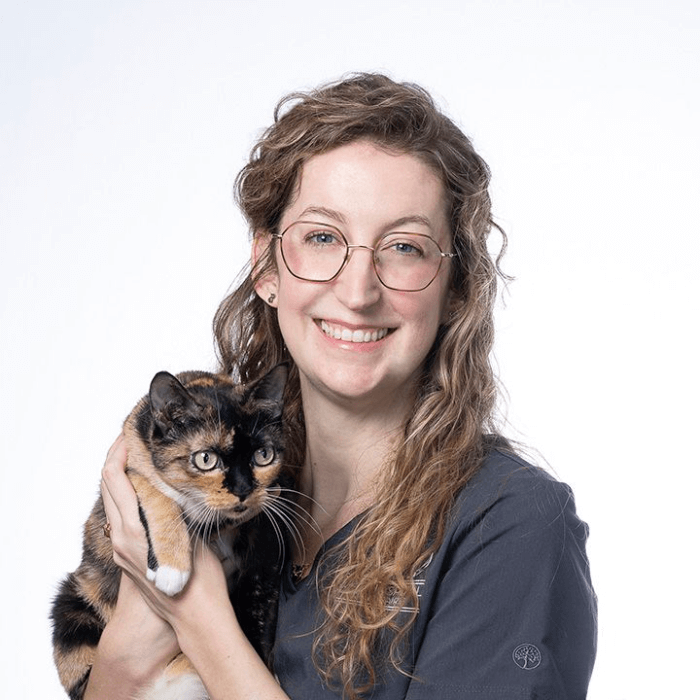 Dr. Stephanie Thibeau